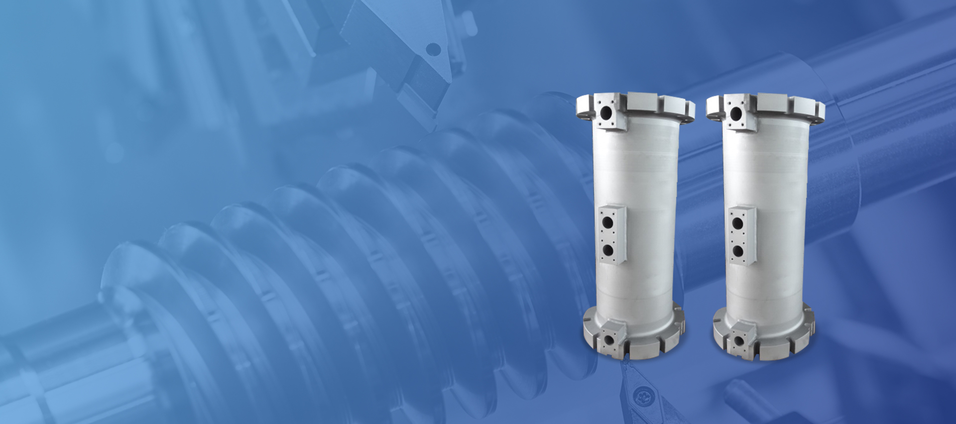 Zhoushan Proin screw machinatione Co., Ltd.